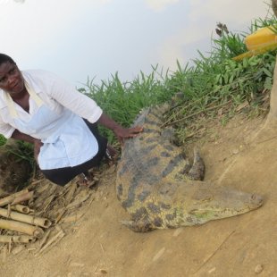Our "Croc Trainer" who also doubles as a chef at Hans Cottage....