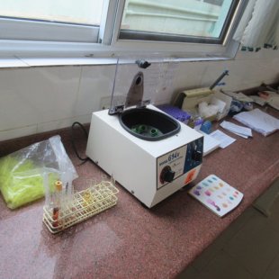 The station for blood typing/crossmatching, HIV/Hepatitis/syphilis/typhoid screening, and 