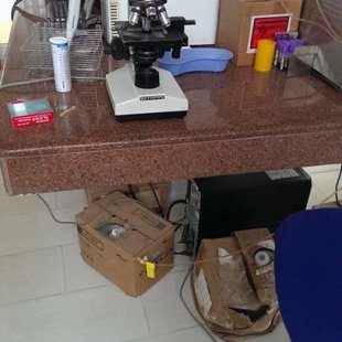 Station for urine analysis
