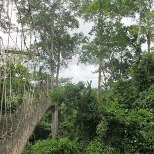 The view near the walkway me and Chali sprinted across