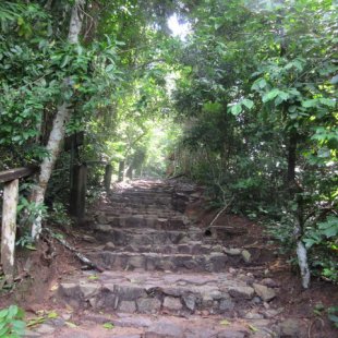 Hiking up to the canopy walkways