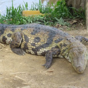 He was sad that I was leaving him