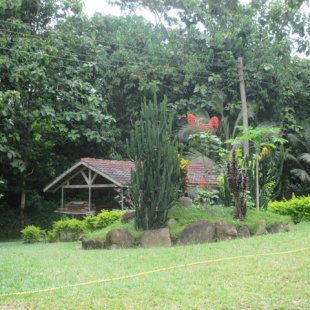 Stingless Bee Center... Prettiest place in Ghana!