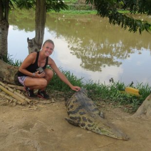 Yes.. It is a live crocodile