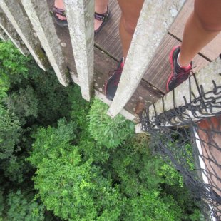 Height of the canopy walkway... We were above the tree line