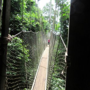 The view of how narrow the boards were to walk on. Not to mention they wobble, so it was v