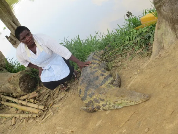 Our "Croc Trainer" who also doubles as a chef at Hans Cottage....