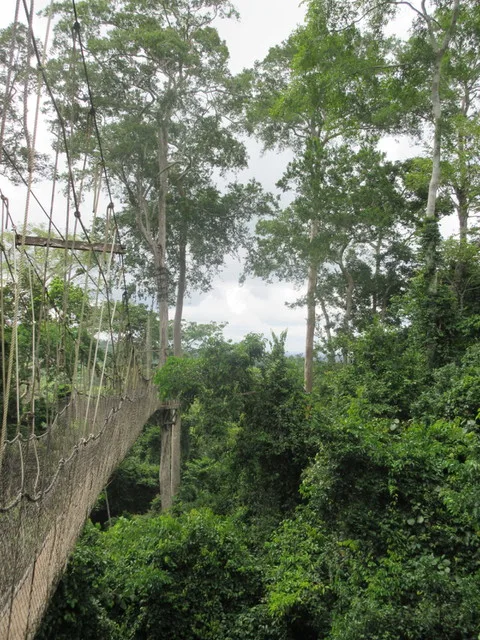 The view near the walkway me and Chali sprinted across