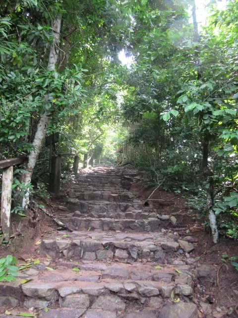 Hiking up to the canopy walkways