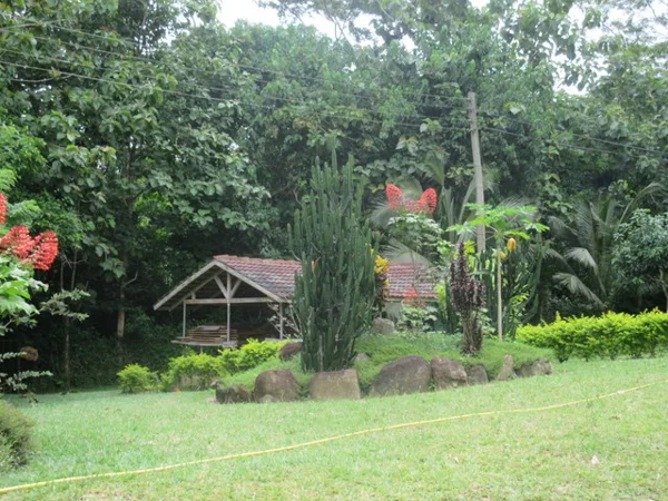 Stingless Bee Center... Prettiest place in Ghana!