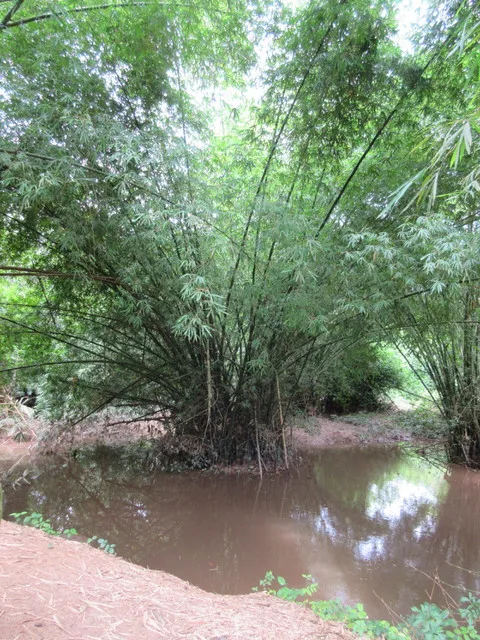 Slave River