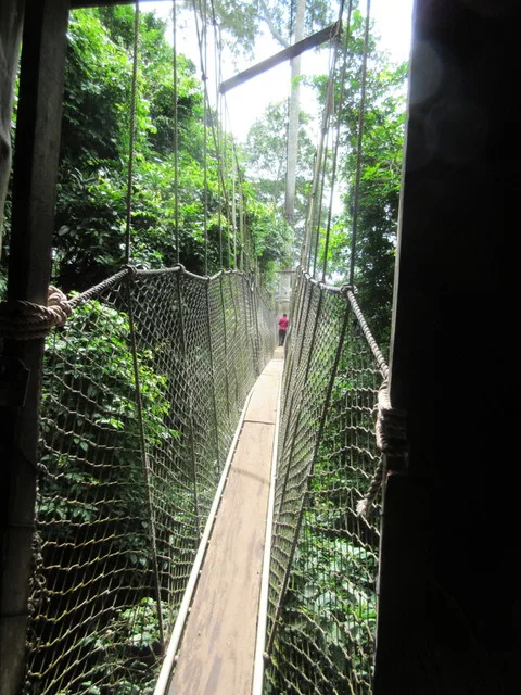 The view of how narrow the boards were to walk on. Not to mention they wobble, so it was v